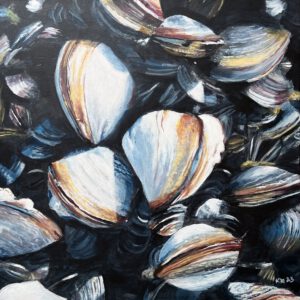 Seemuscheln