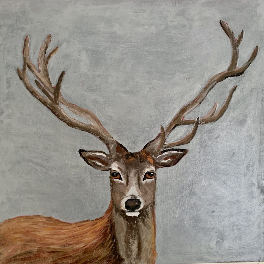 Hirsch