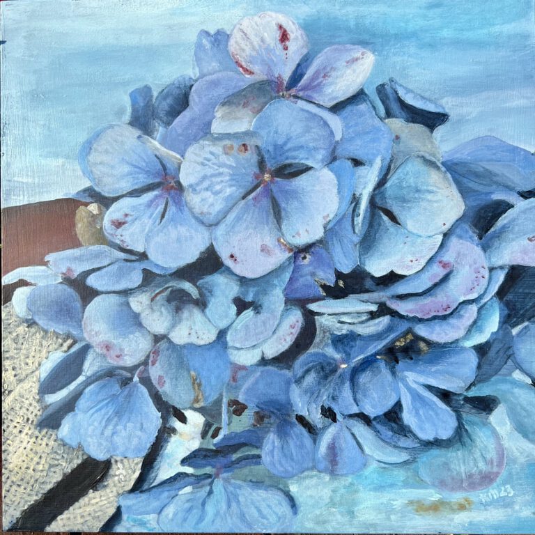 Hortensie blau