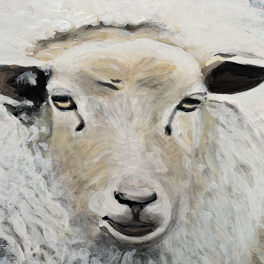 Winterschaf, Detail
